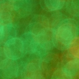 Bokeh-393